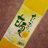 リキュール　たっぷり甘夏